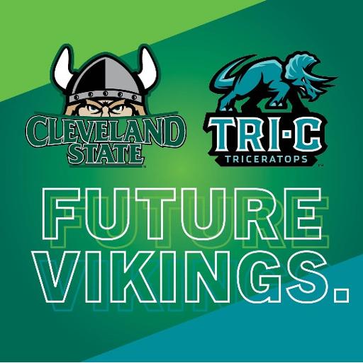 Future Viking Logo