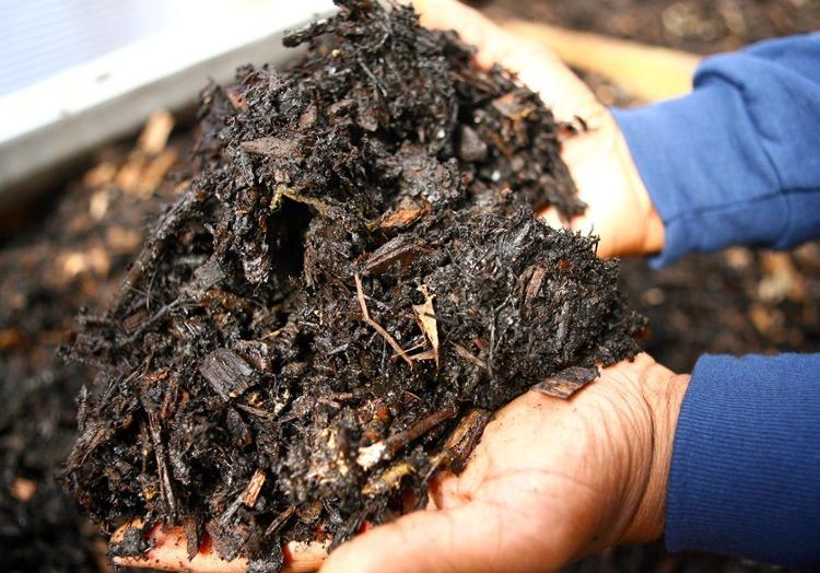 Finished compost at the Rid-All Green Partnership. Photo courtesy of the Rid-All Green Partnership.