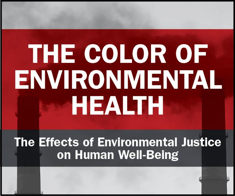 The Color of Environmental Health slide