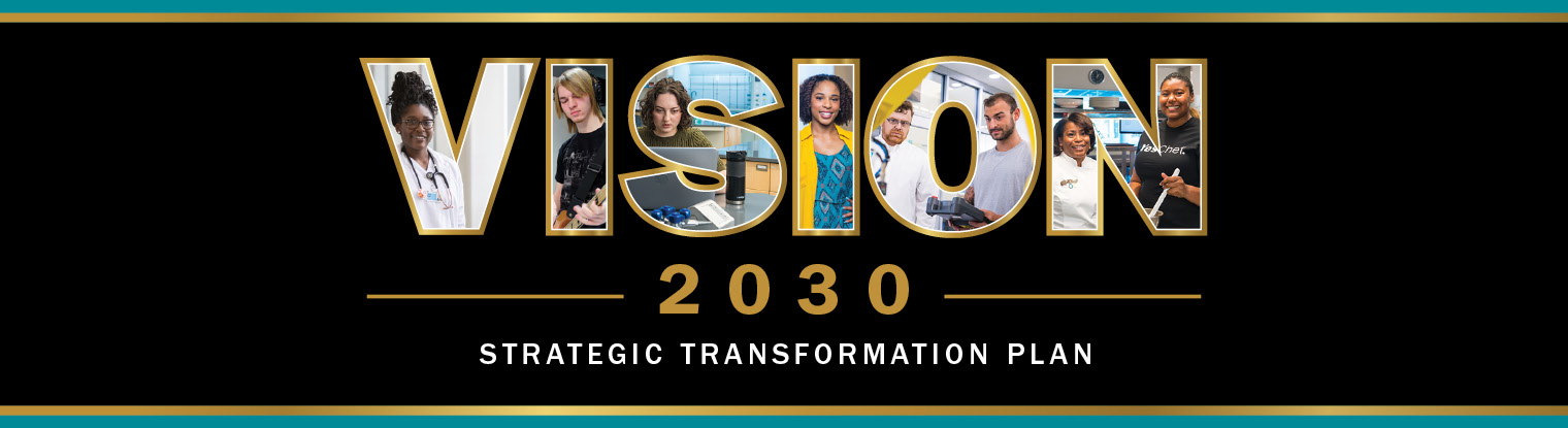 Vision 2030: Strategic Transformation Plan 2025-2030