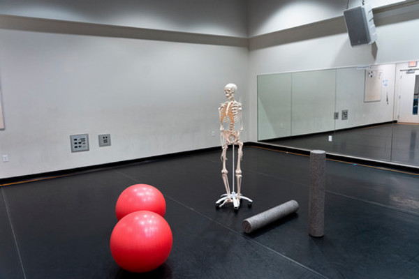 skeleton, exercise balls, and foam roller in dance studio