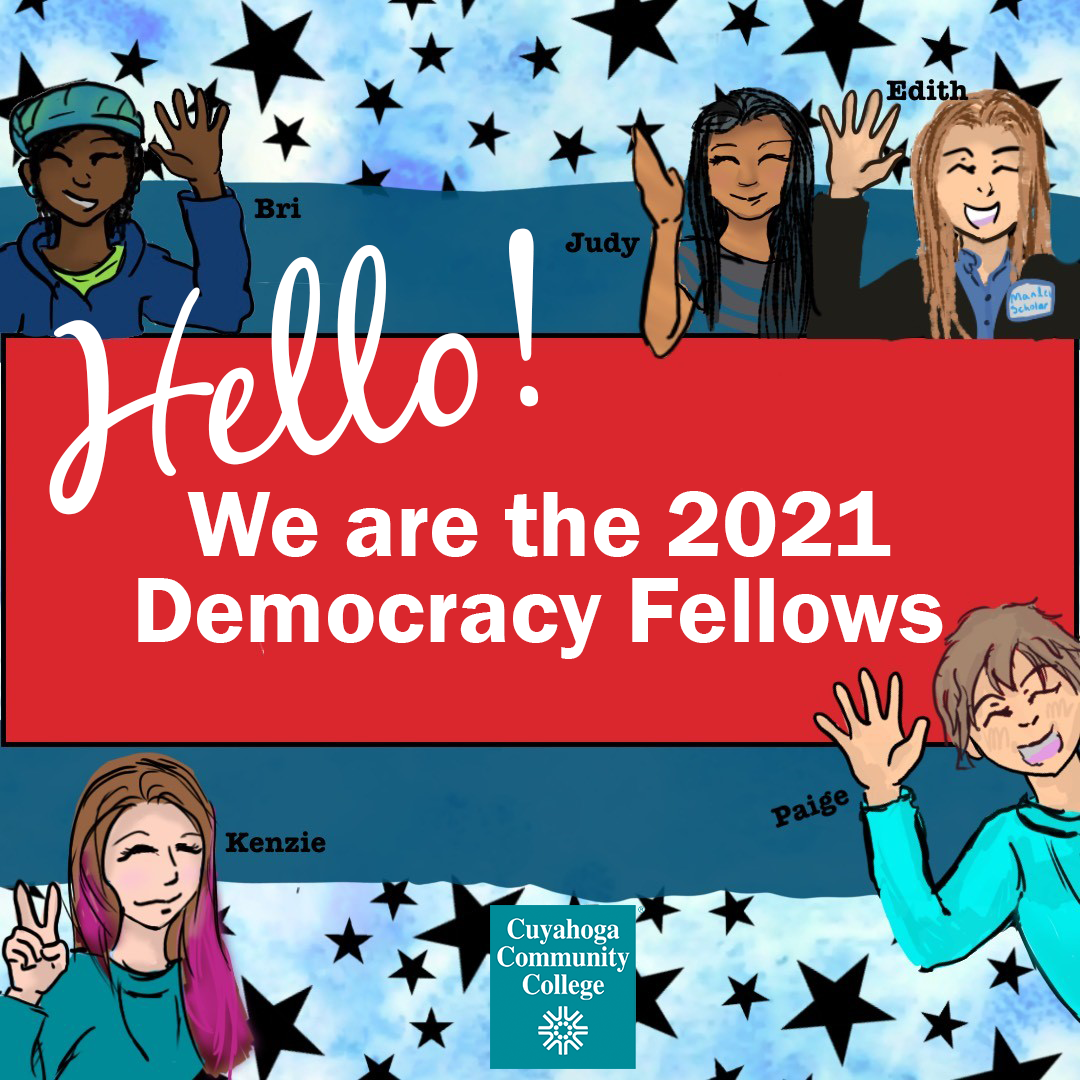 Meet the Democracy Fellows