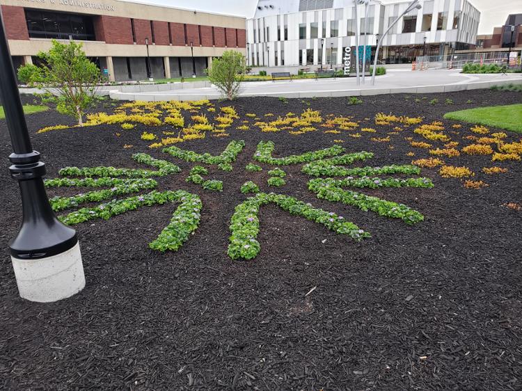 Metro Campus Landscaping, Community Circle