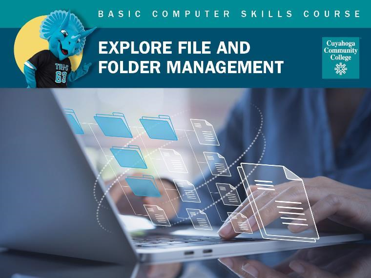Explore File and Folder Management