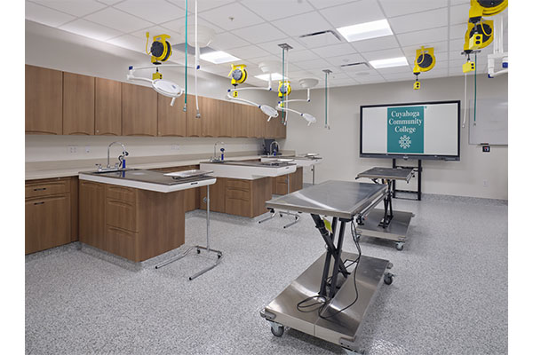 Vet Tech
