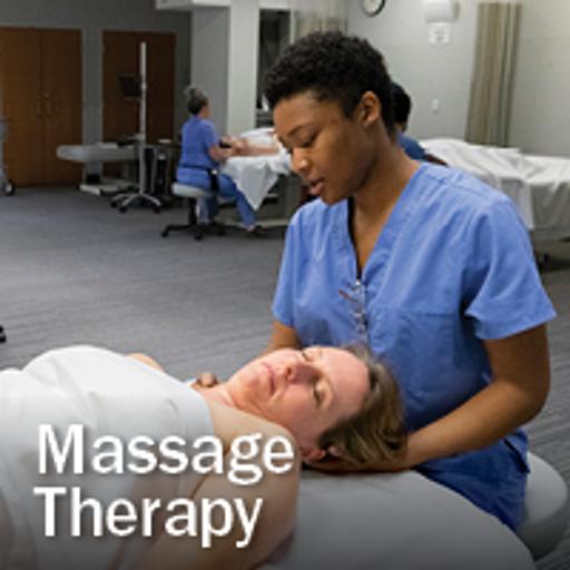 Massage Therapy link