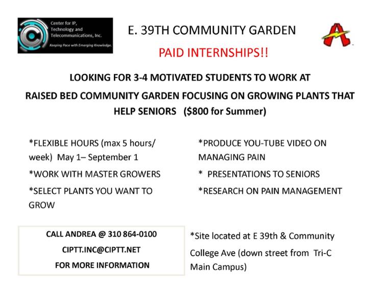 Paid Internship