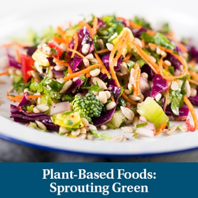 Plant-Based Foods: Sprouting Green