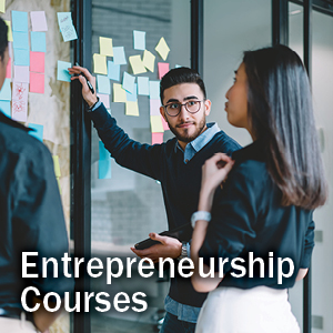 Entrepreneurial Program Tracks