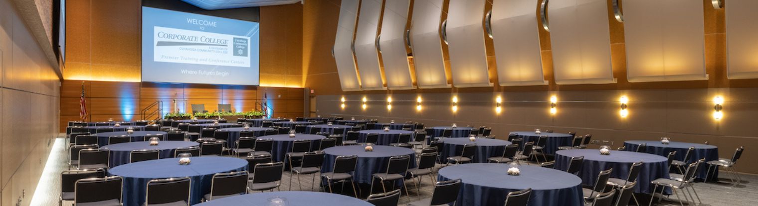 Corporate College Conference Room Capacity 300