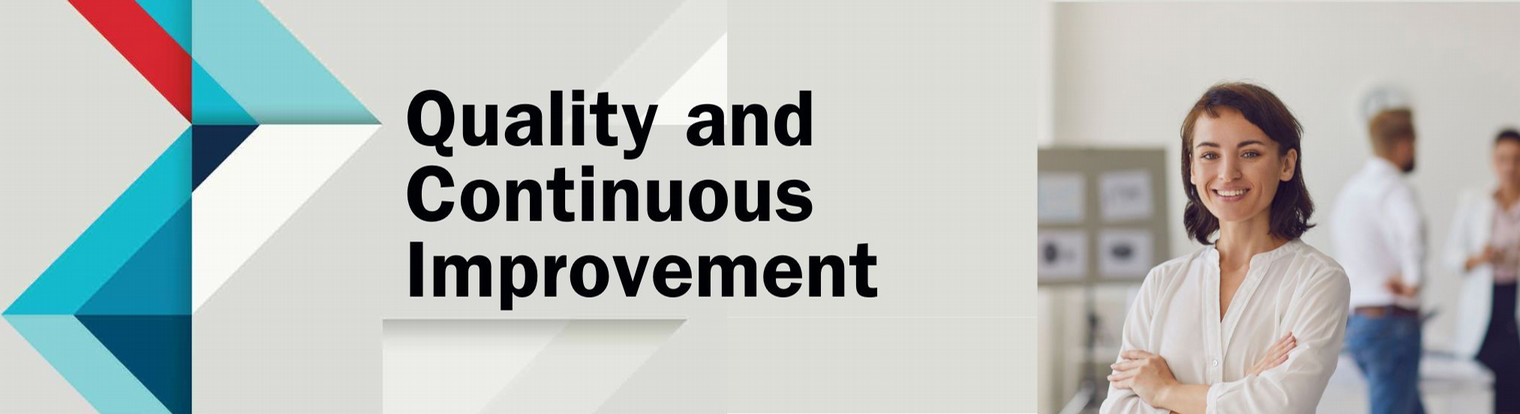 Quality and Process Improvement Programs