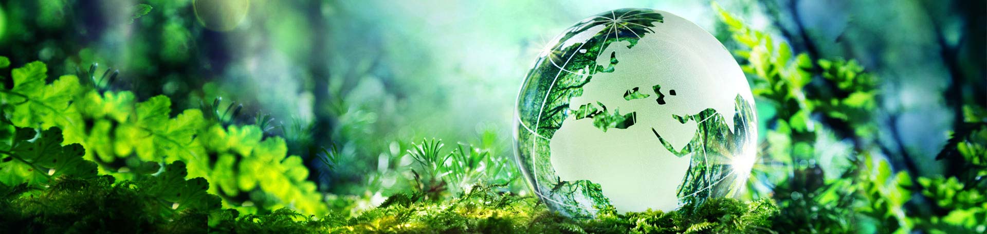 Sustainability