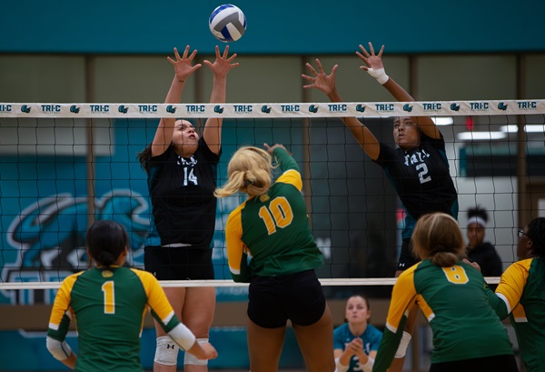 Triceratops volleyball