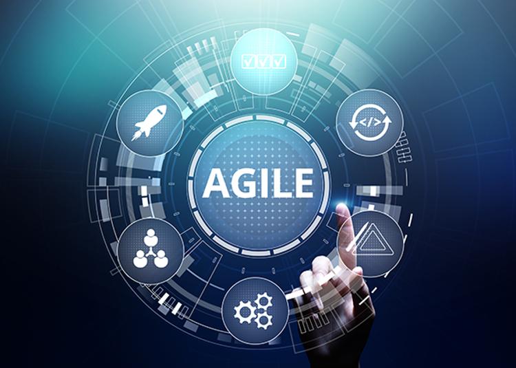 Agile project management graphic