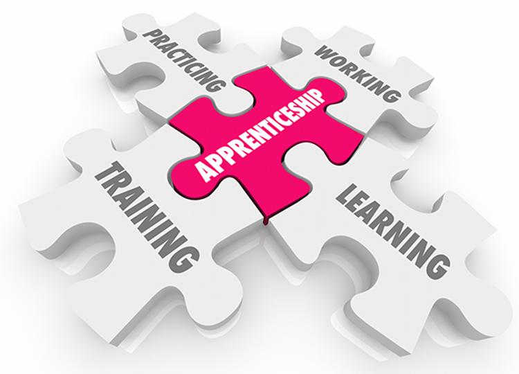 Puzzle pieces with "apprenticeship" in the middle