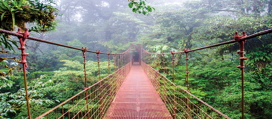 Monteverde Cloud Forest Reserve in Costa Rica