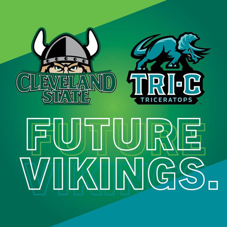 Future Vikings graphic
