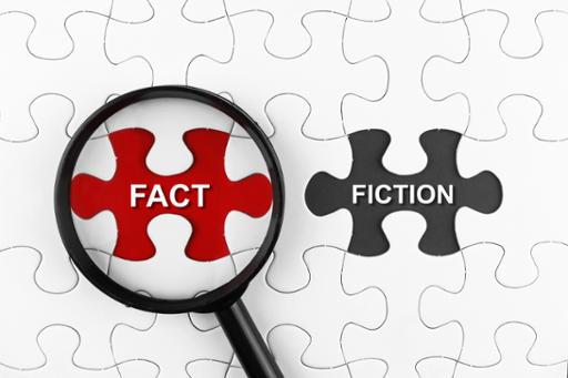 Fact or Fiction Puzzle Illustration