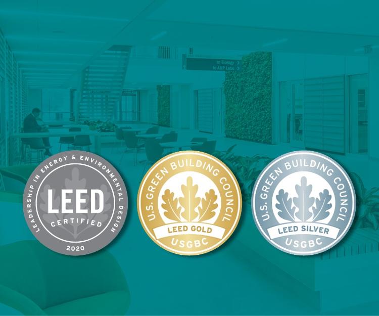 LEED story image