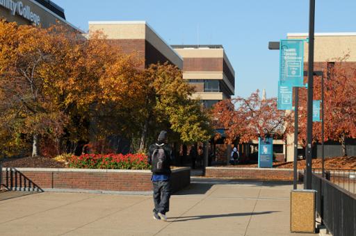 Fall scene at Metropolitan Campus