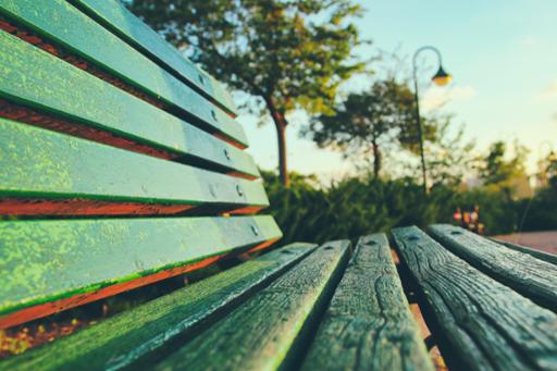 Photo showing a park bench in an urban park setting