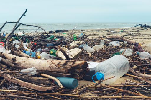 Litter on an urban beach