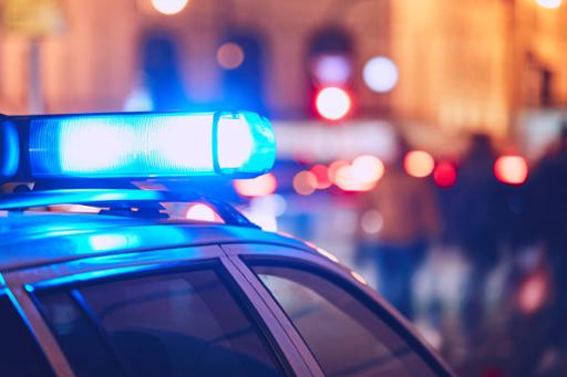 Police car light
