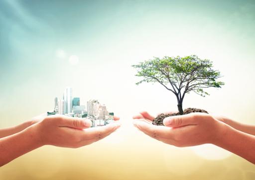 Photo illustration showing concept of sustainable development, with hands holding a city and a tree