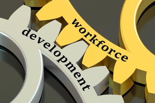 Gears with the words Workforce Development