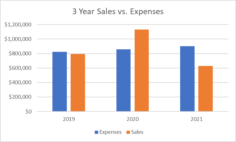 This bar graph shows our Expenses and Revenue for the years 2019, 2020 and 2021.