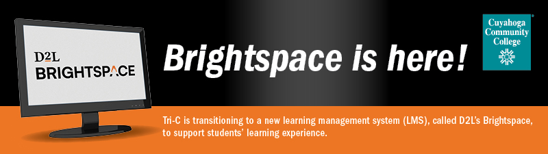 Announcing the transition to D2L's Brightspace for Summer Term 2024