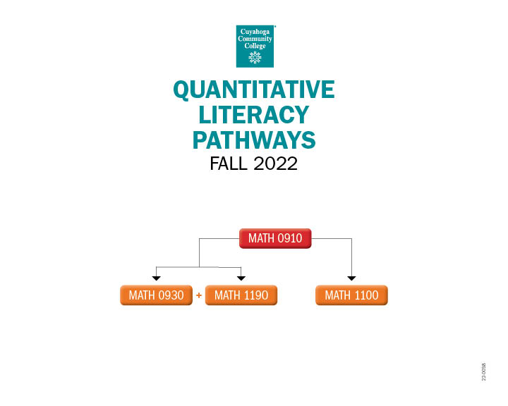 Math Quantitative Literacy Pathway