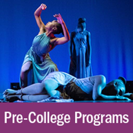 Pre-College Programs