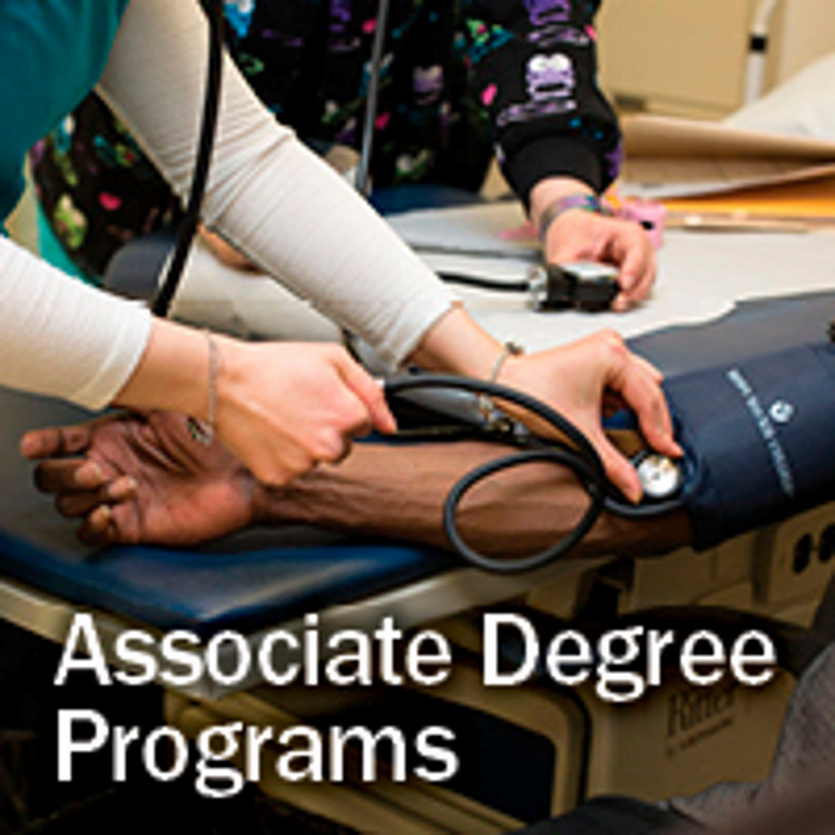 Degree programs