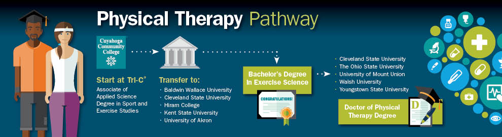 PT pathway: degree to transfer