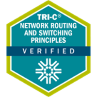 Network Routing and Switching Principles badge