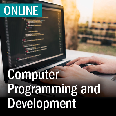 Online Computer Programming and Web Development