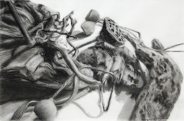 Pencil drawing a vines and flowers by Georgian LaGuardia