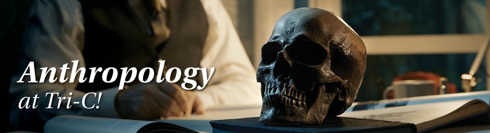 "Anthropology at Tri-C!" with image of human skull being studied.
