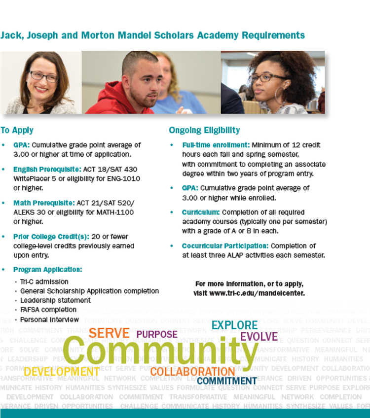 View the Mandel Scholars Academy Requirements