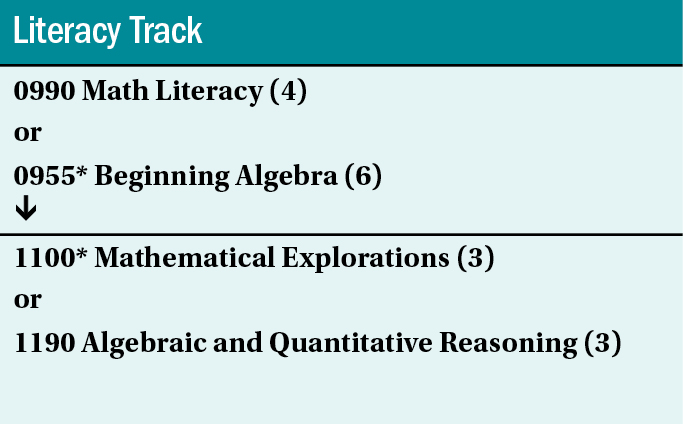 Literacy Track