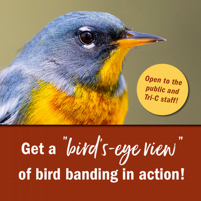 Get a bird's-eye view of banding in action. Open to the public and Tri-C staff.