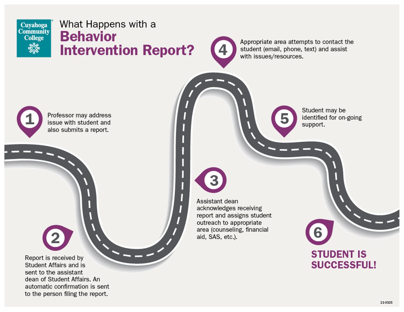 Behavior Intervention Process
