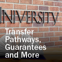 Transfer pathways image