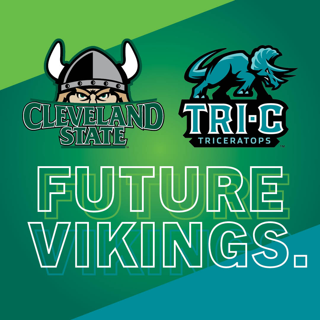 Future Vikings Logo