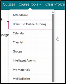 Brainfuse Online Tutoring