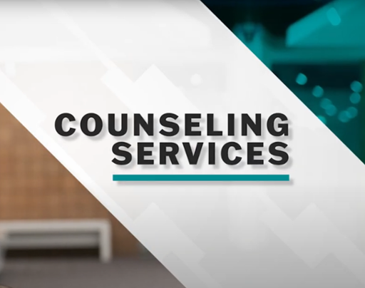 Counseling Services - Terry Webb
